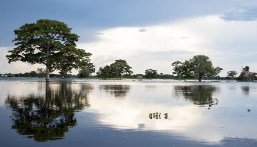 ASN Mato Grosso - Agência Sebrae de Notícias