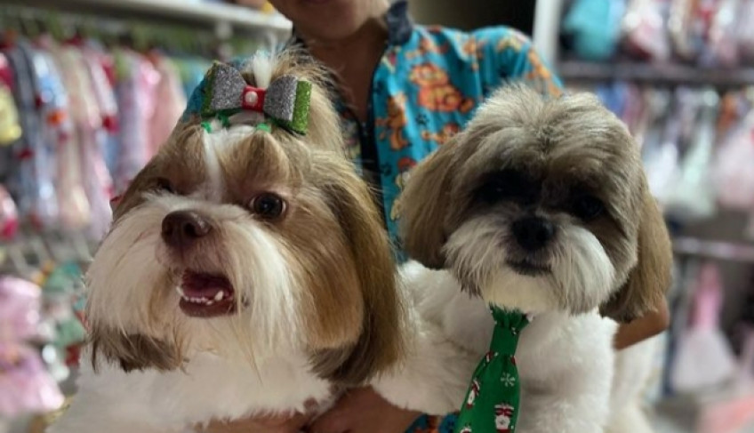 ASN Mato Grosso - Agência Sebrae de Notícias