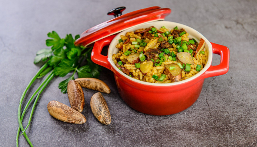 ASN Mato Grosso - Agência Sebrae de Notícias