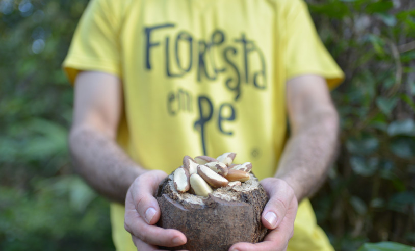 ASN Mato Grosso - Agência Sebrae de Notícias