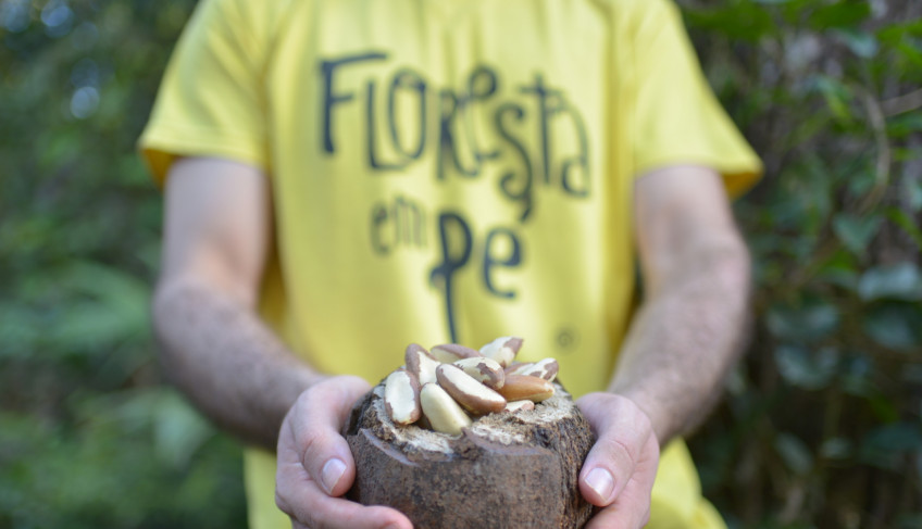 ASN Mato Grosso - Agência Sebrae de Notícias