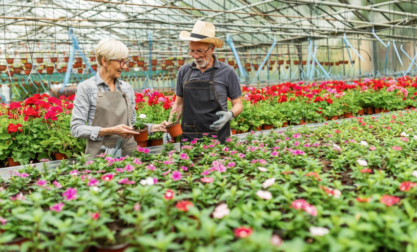 Freepik Drazen Zigic