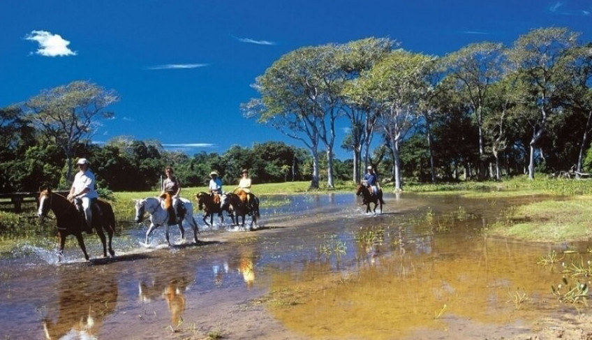 ASN Mato Grosso - Agência Sebrae de Notícias