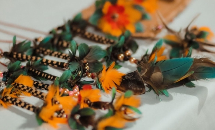 ASN Mato Grosso - Agência Sebrae de Notícias