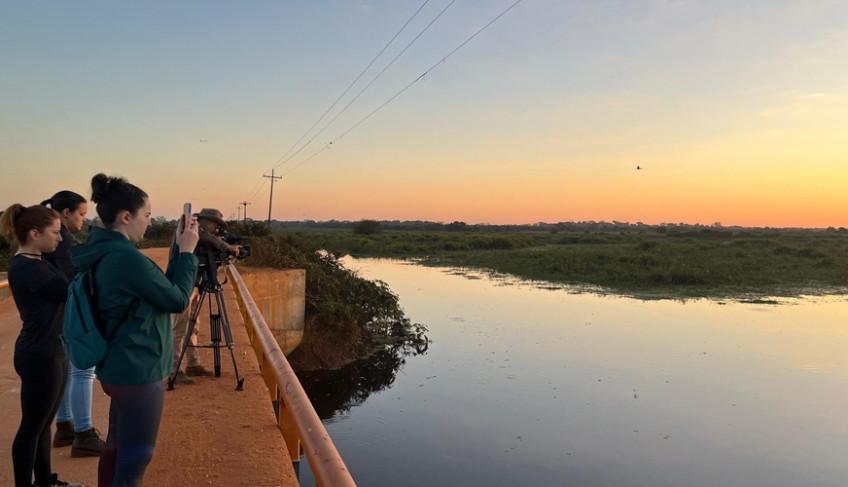 ASN Mato Grosso - Agência Sebrae de Notícias