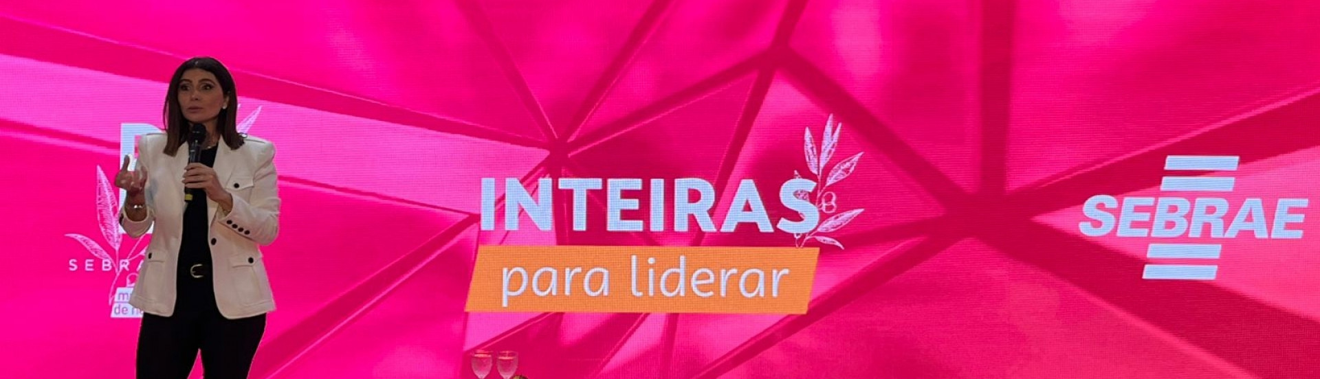 ASN Mato Grosso - Agência Sebrae de Notícias