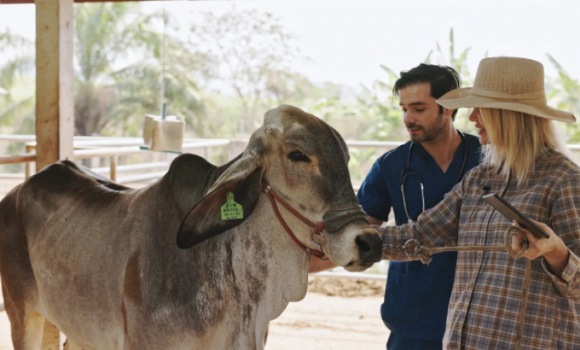 ASN Mato Grosso - Agência Sebrae de Notícias