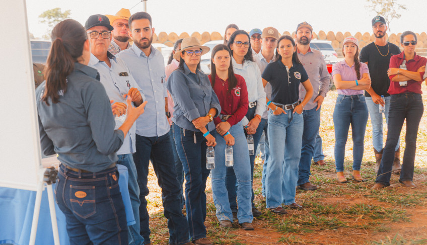 ASN Mato Grosso - Agência Sebrae de Notícias