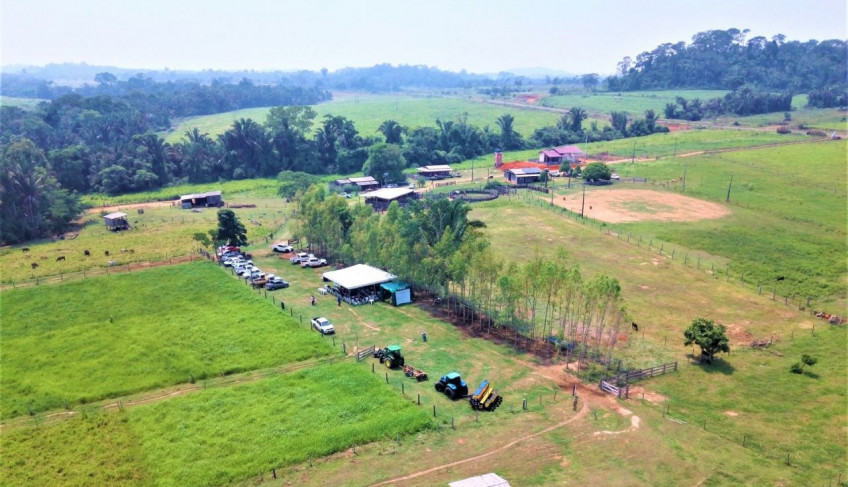 ASN Mato Grosso - Agência Sebrae de Notícias