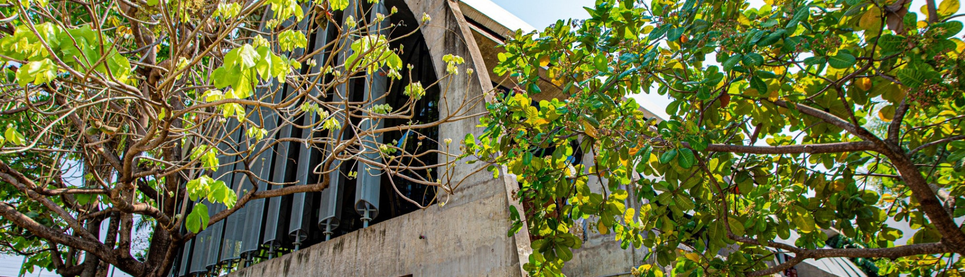 ASN Mato Grosso - Agência Sebrae de Notícias