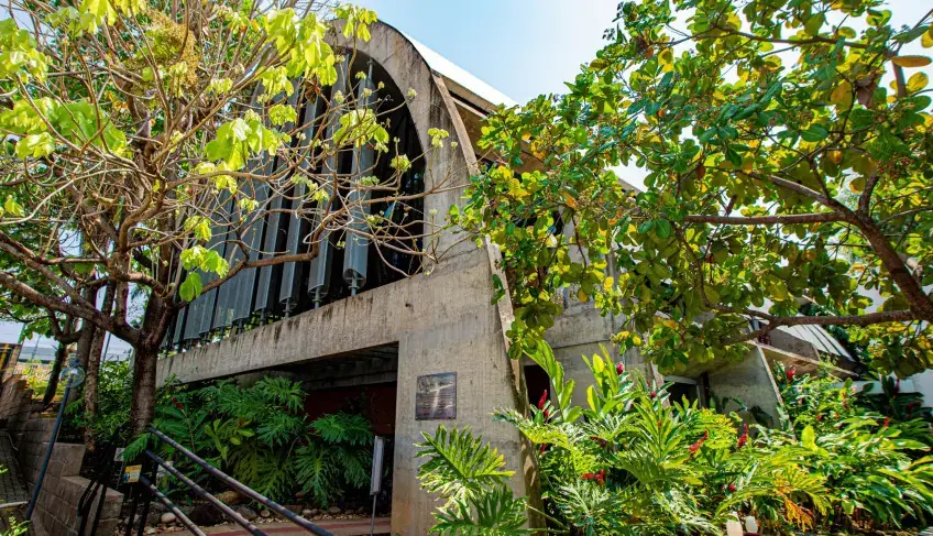ASN Mato Grosso - Agência Sebrae de Notícias