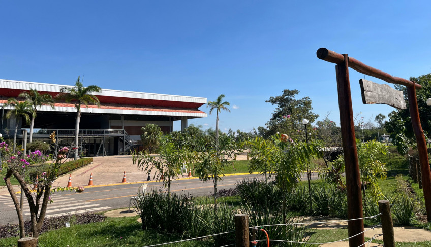 ASN Mato Grosso - Agência Sebrae de Notícias