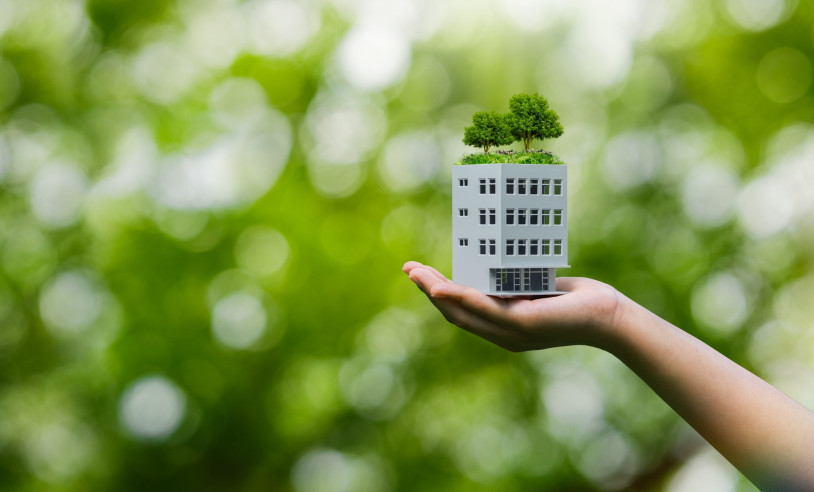 ASN Mato Grosso - Agência Sebrae de Notícias