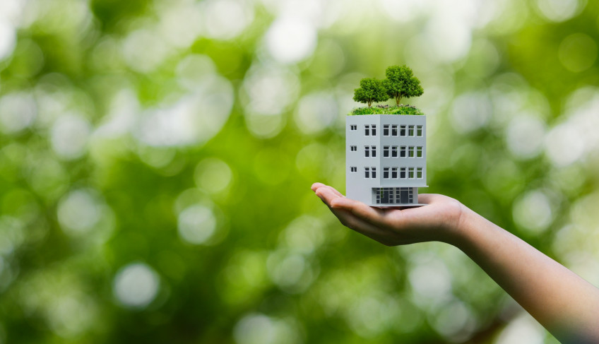 ASN Mato Grosso - Agência Sebrae de Notícias