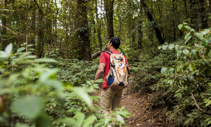 ASN Mato Grosso - Agência Sebrae de Notícias