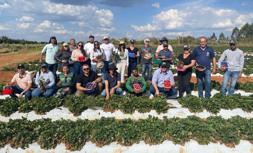 ASN Mato Grosso - Agência Sebrae de Notícias