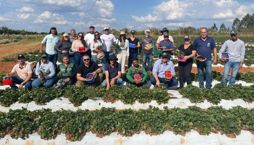 ASN Mato Grosso - Agência Sebrae de Notícias