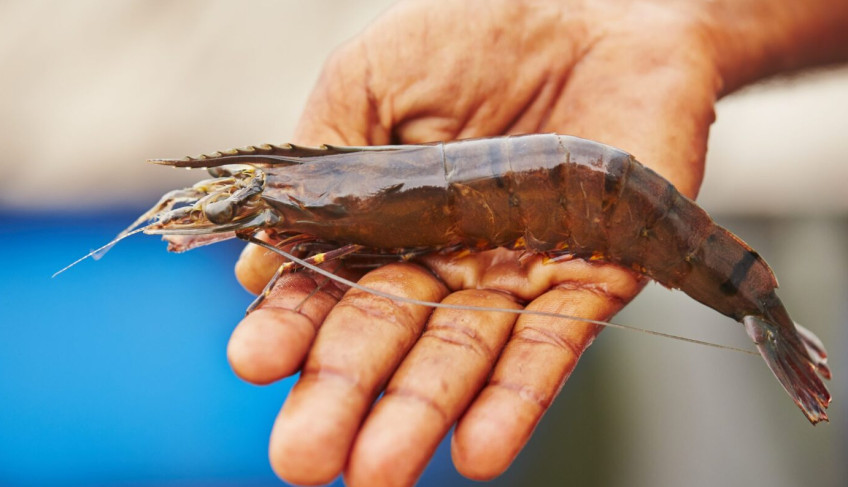 ASN Mato Grosso - Agência Sebrae de Notícias