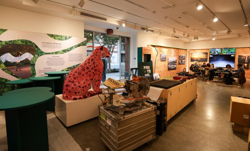 ASN Mato Grosso - Agência Sebrae de Notícias