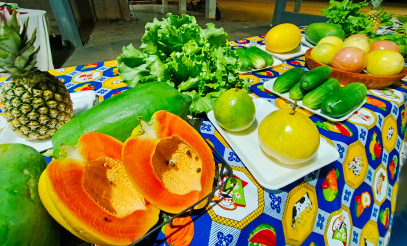 ASN Mato Grosso - Agência Sebrae de Notícias