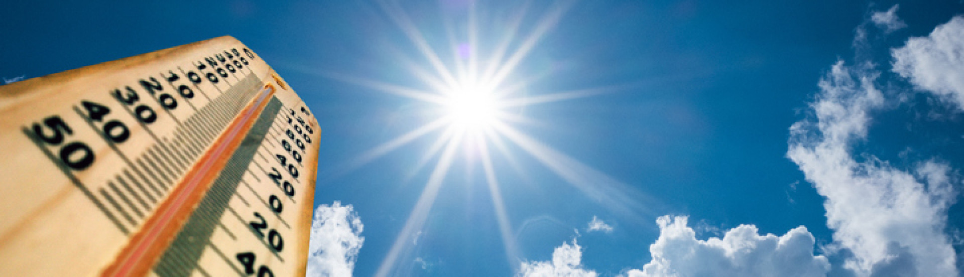 ASN Mato Grosso - Agência Sebrae de Notícias