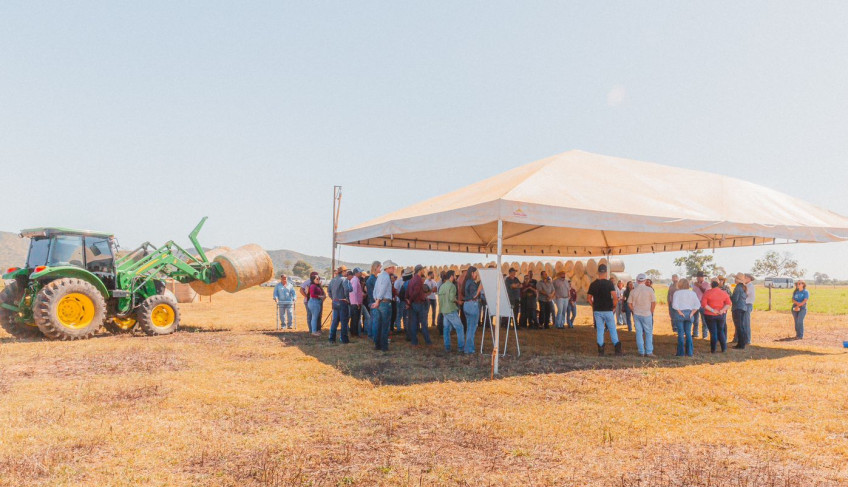 ASN Mato Grosso - Agência Sebrae de Notícias