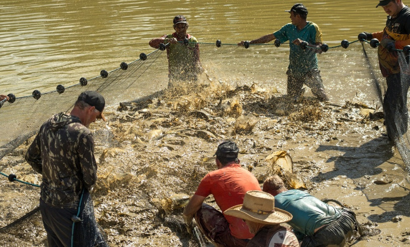 ASN Mato Grosso - Agência Sebrae de Notícias