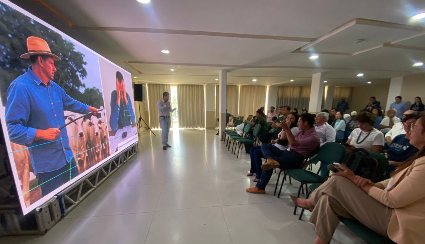 ASN Mato Grosso - Agência Sebrae de Notícias