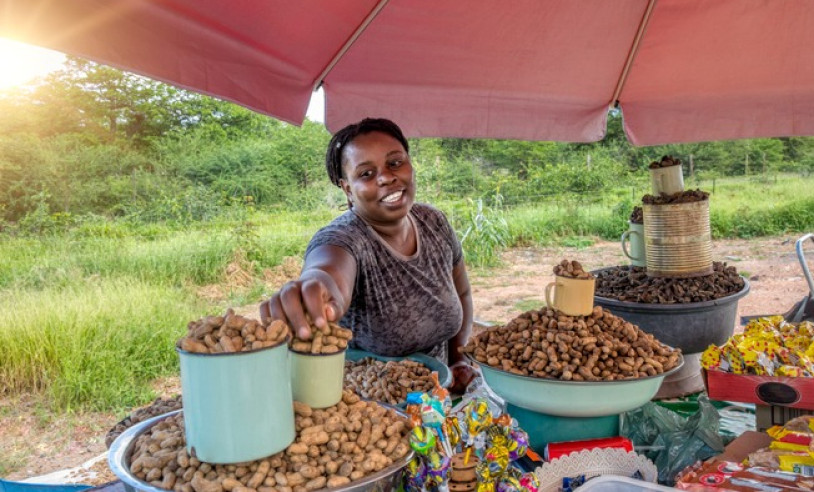 ASN Mato Grosso - Agência Sebrae de Notícias