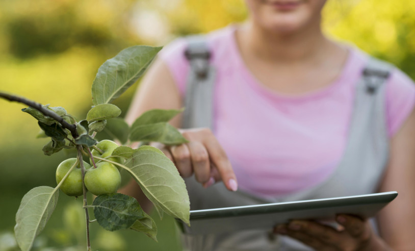 ASN Mato Grosso - Agência Sebrae de Notícias