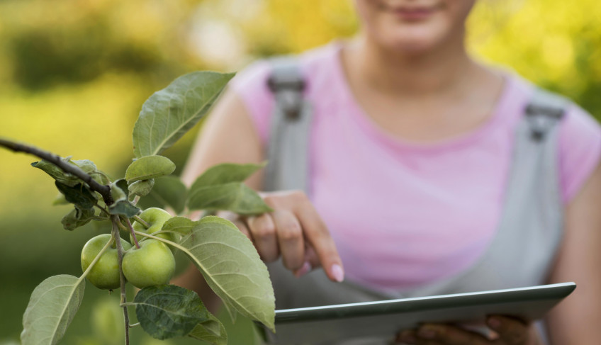 ASN Mato Grosso - Agência Sebrae de Notícias