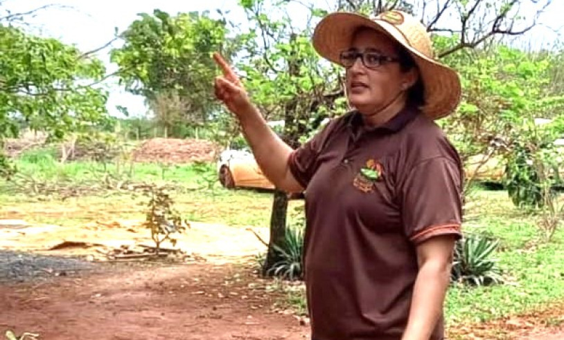 ASN Mato Grosso - Agência Sebrae de Notícias