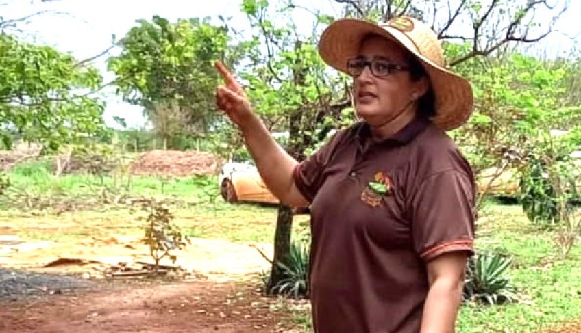 ASN Mato Grosso - Agência Sebrae de Notícias