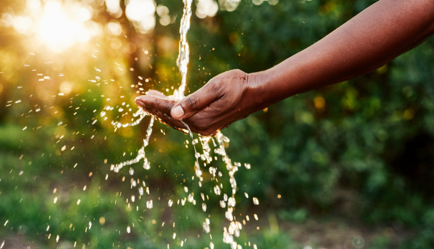 ASN Mato Grosso - Agência Sebrae de Notícias