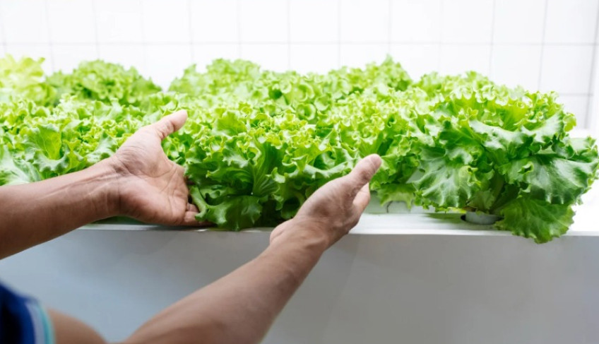 ASN Mato Grosso - Agência Sebrae de Notícias