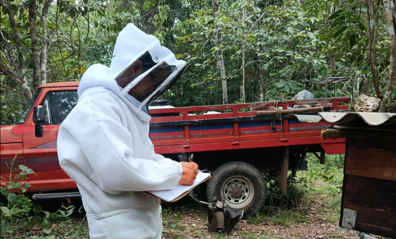 ASN Mato Grosso - Agência Sebrae de Notícias