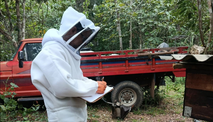 ASN Mato Grosso - Agência Sebrae de Notícias