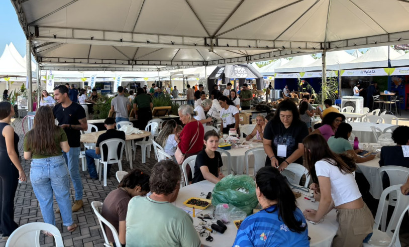 ASN Mato Grosso - Agência Sebrae de Notícias