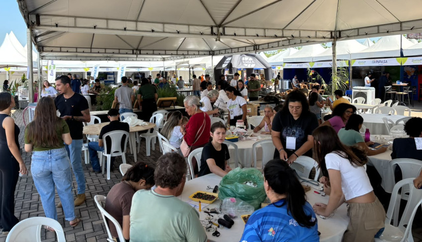 ASN Mato Grosso - Agência Sebrae de Notícias