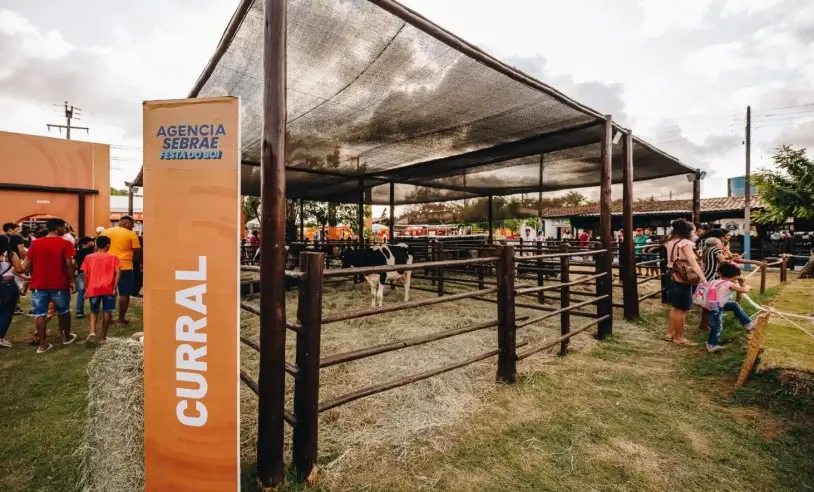 ASN Mato Grosso - Agência Sebrae de Notícias