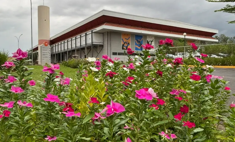 ASN Mato Grosso - Agência Sebrae de Notícias