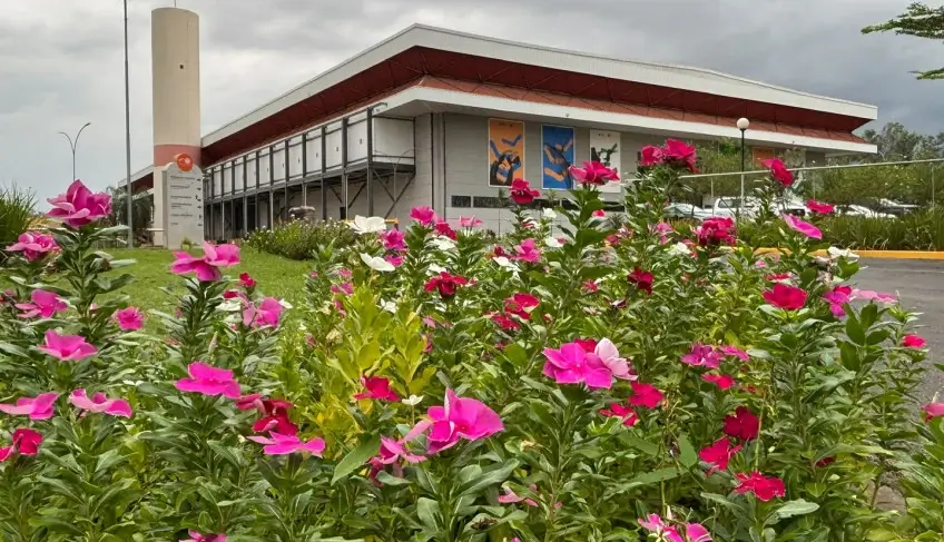 ASN Mato Grosso - Agência Sebrae de Notícias